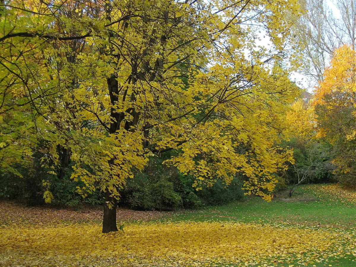 Finanzgarten (München)