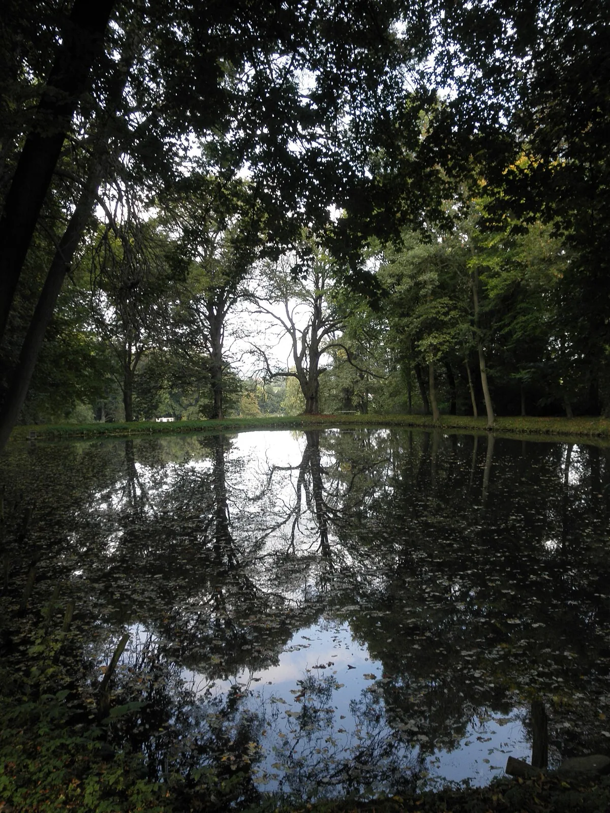 Schlosspark Bendeleben