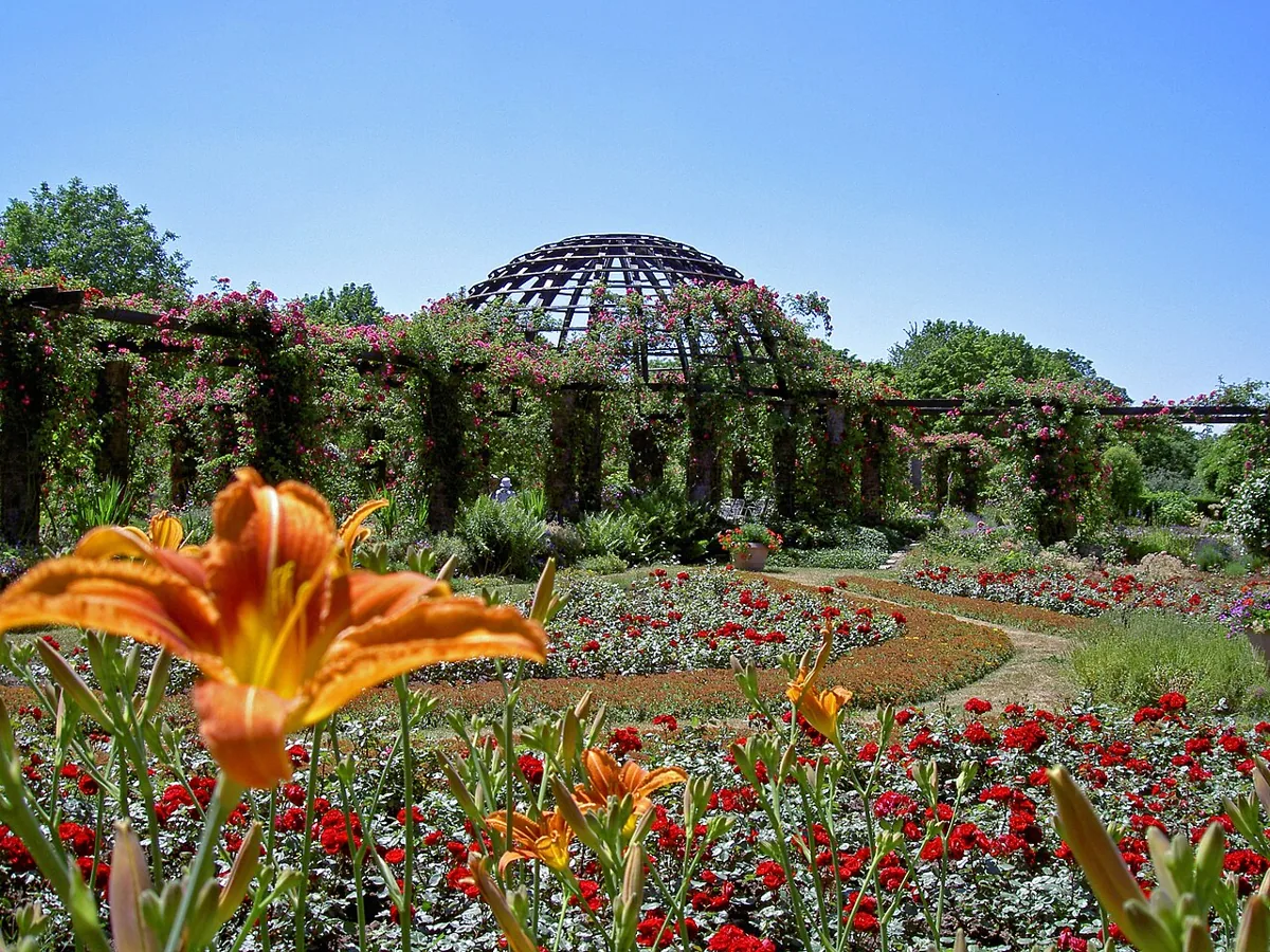 Park Rosenhöhe