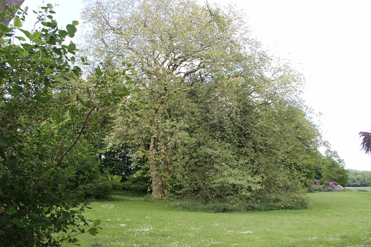 Landschaftspark Hohenstein