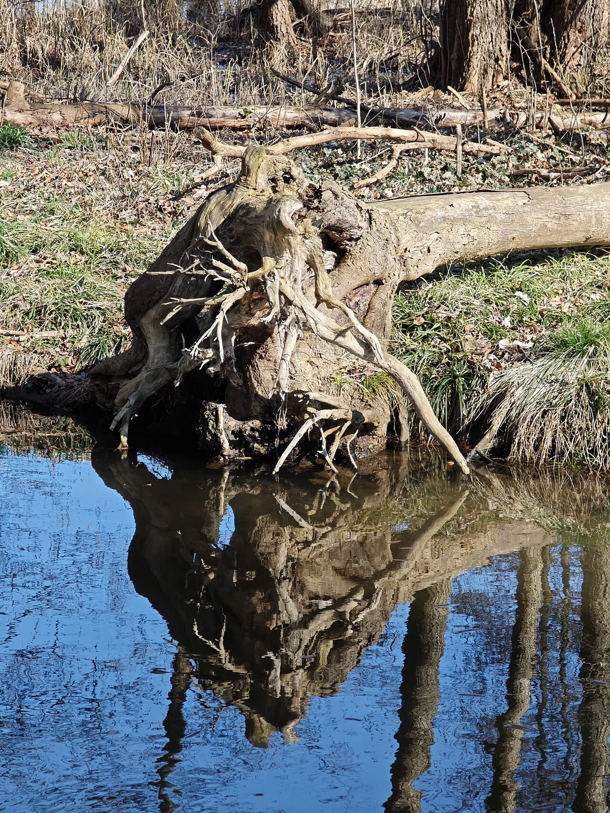 Schlosspark Buckow