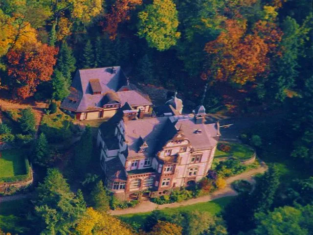 Luftbild der Villa Haas in Sinn, ein historistisches Herrenhaus mit Turm, eingebettet in den herbstlich gefärbten Villenpark