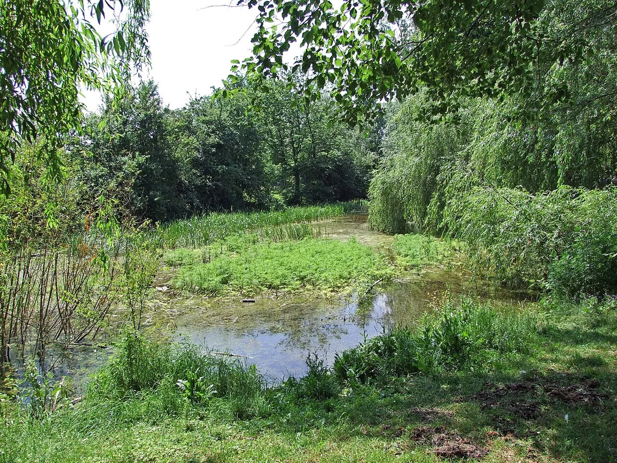 Sausee