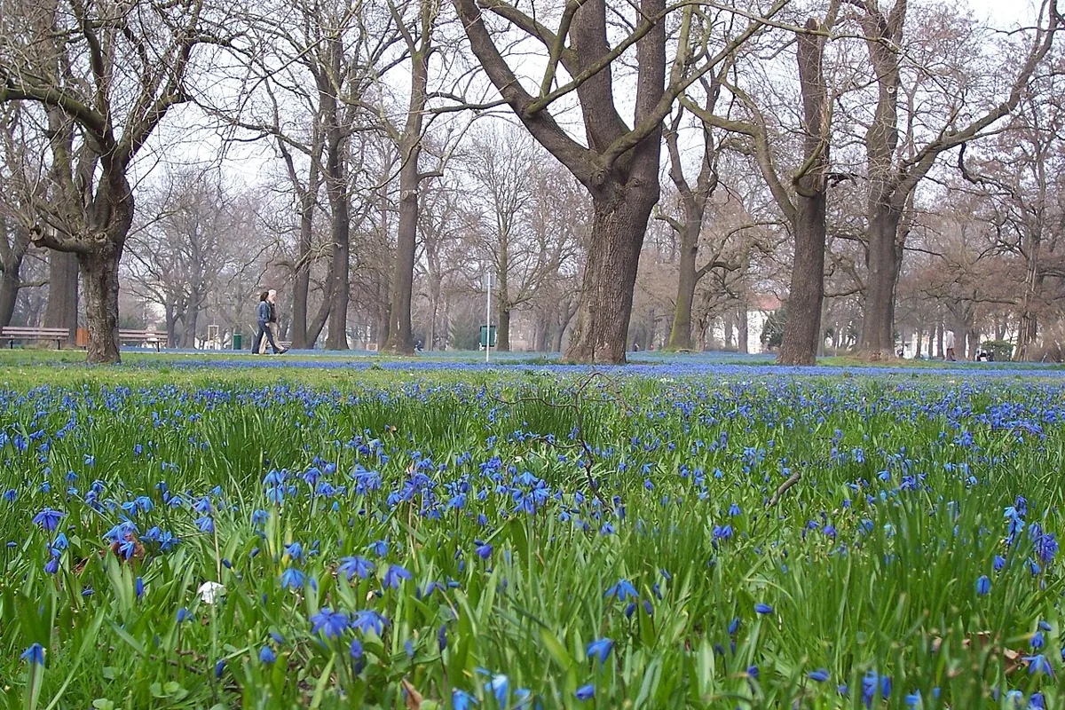 Nordpark Magdeburg