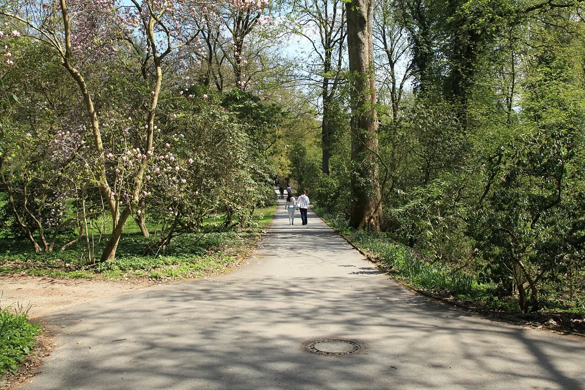 Rombergpark