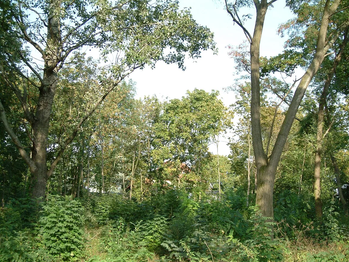 Sturmfederscher Kellergarten
