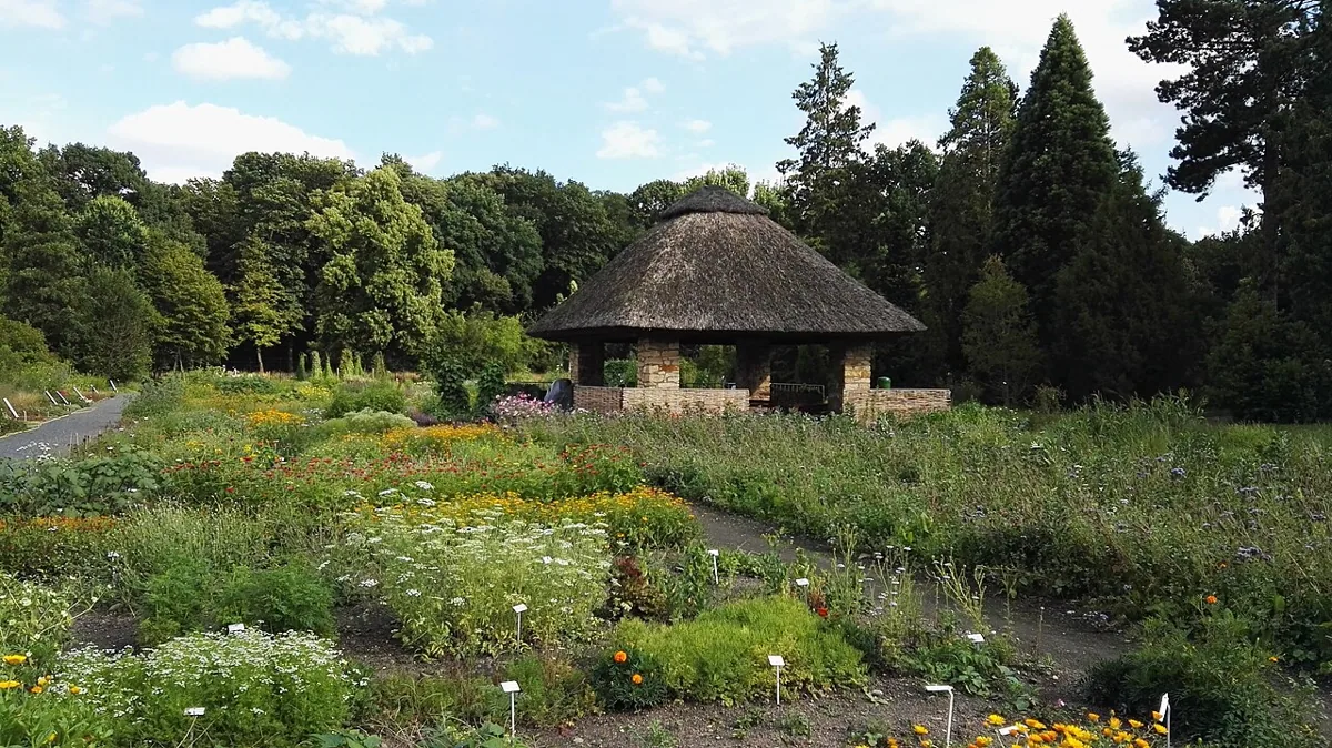 Botanischer Garten Dresden