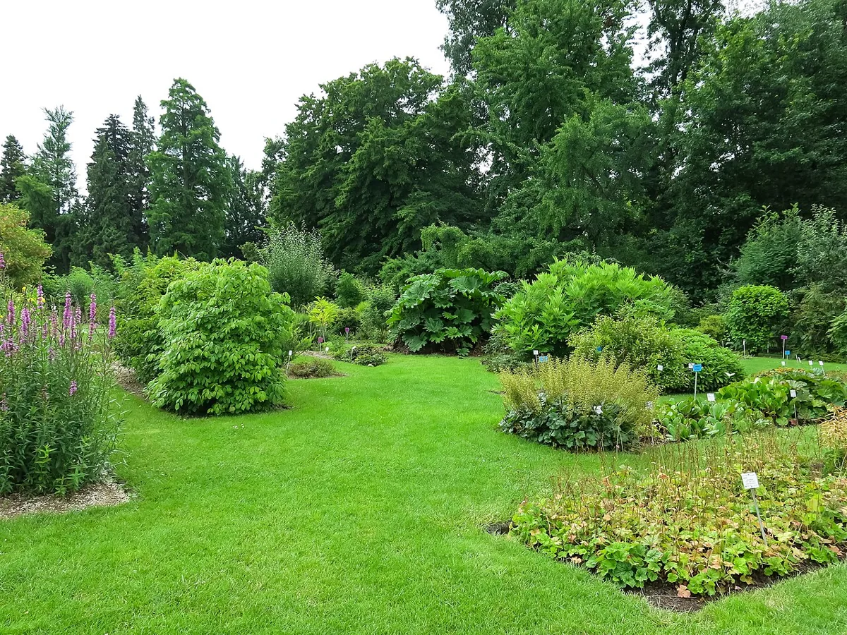 Botanischer Garten Bonn