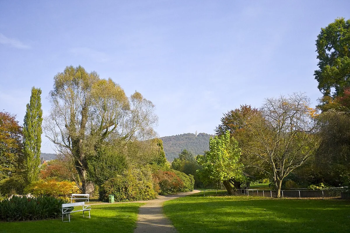 Alter Botanischer Garten