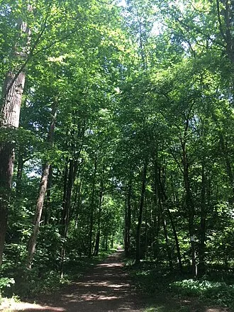 Englischer Garten (Neuburg an der Donau)
