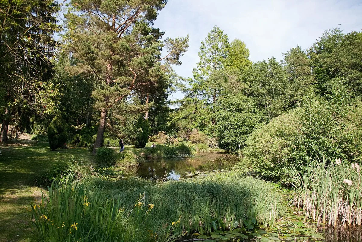 Botanischer Garten