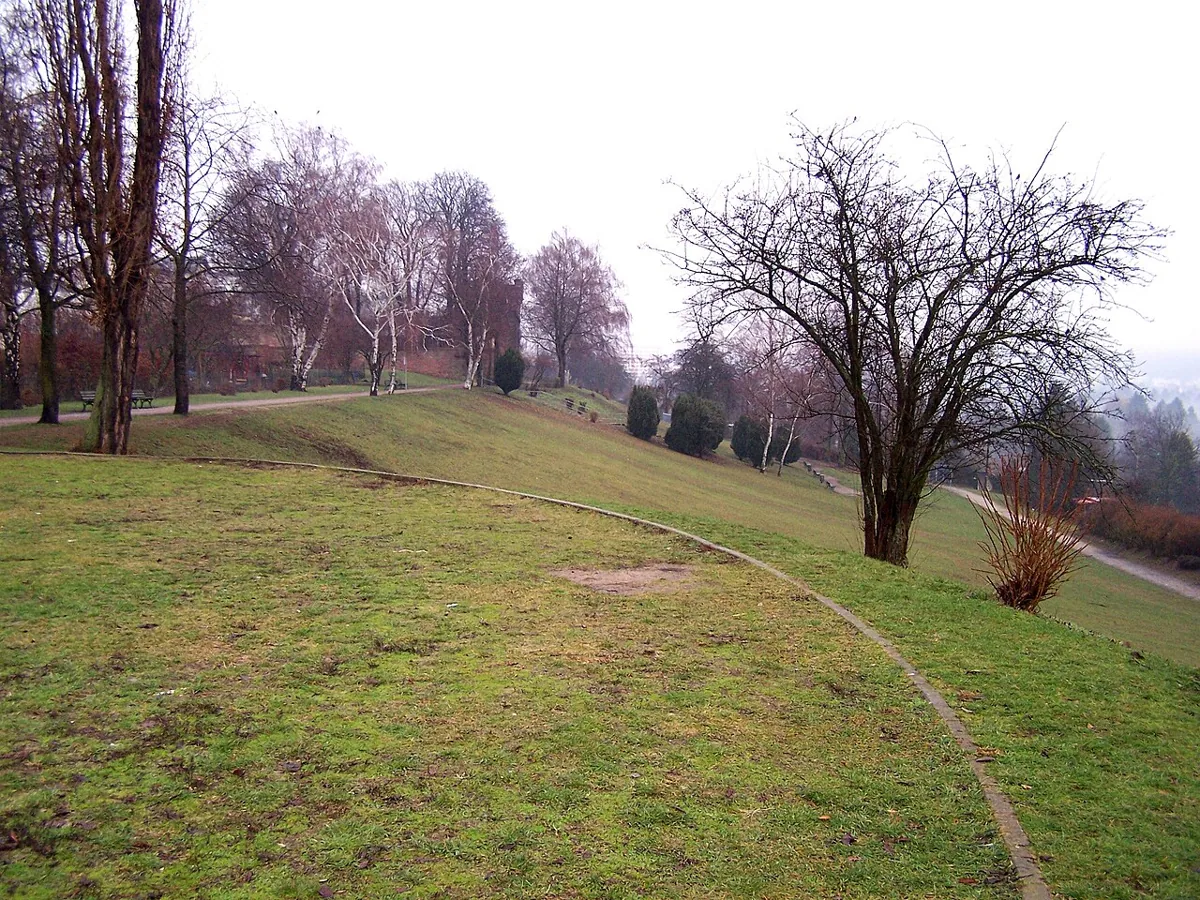 Bornheimer Hang (Böschung)
