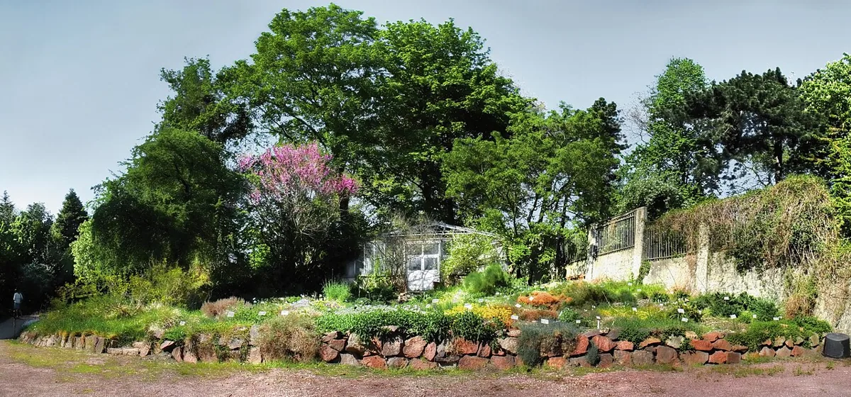 Botanischer Garten Halle