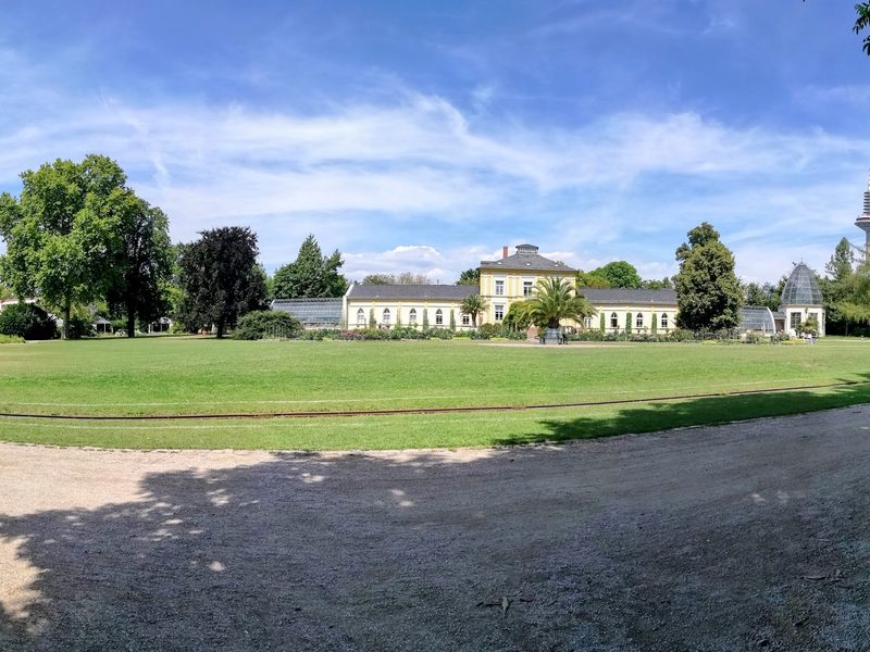 Weite Rasenfläche mit dem historischen gelben Gesellschaftshaus, rechts der Frankfurter Europaturm