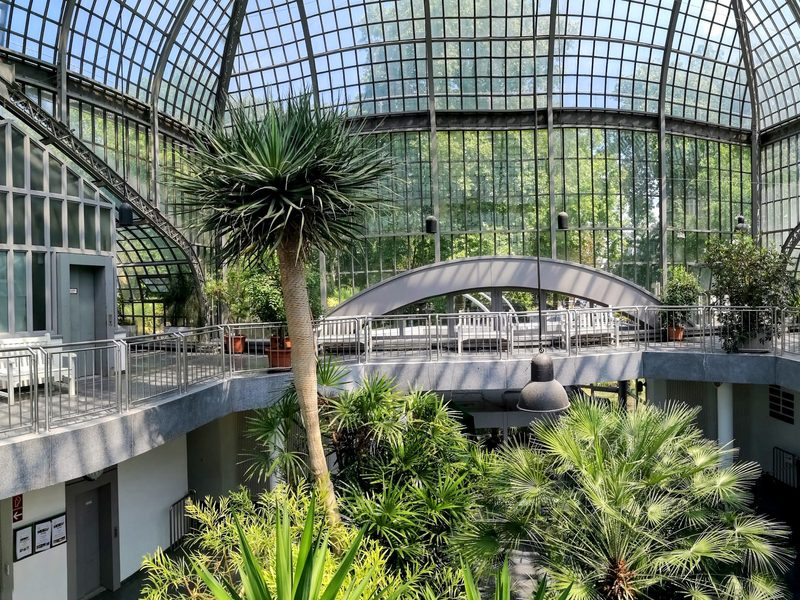 Blick in das historische Palmenhaus mit gewölbtem Glasdach, umlaufender Galerie und einem großen Drachenbaum
