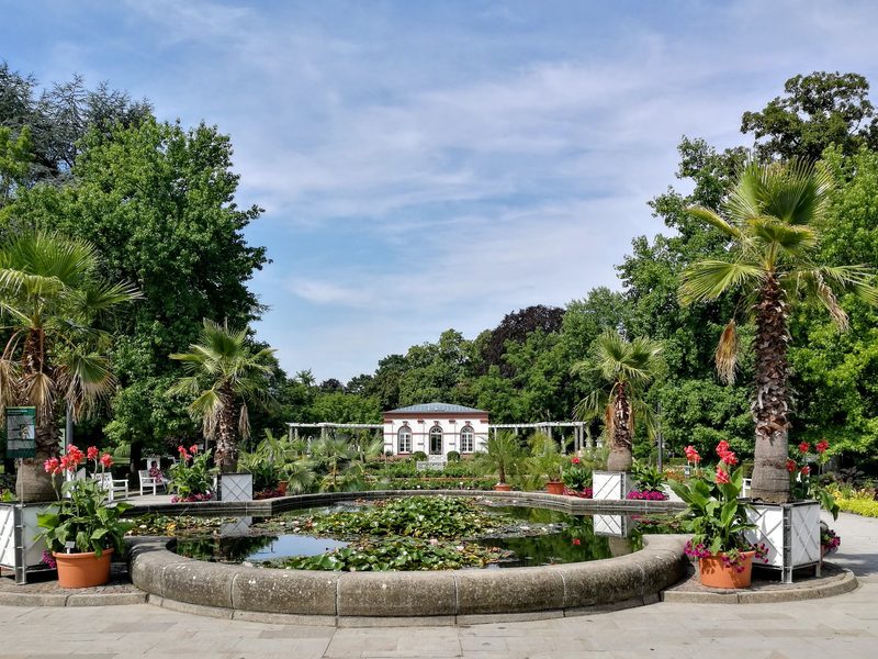 Seerosenbecken im Palmengarten Frankfurt, umgeben von Kübelpalmen und roten Canna, im Hintergrund ein Gartenpavillon