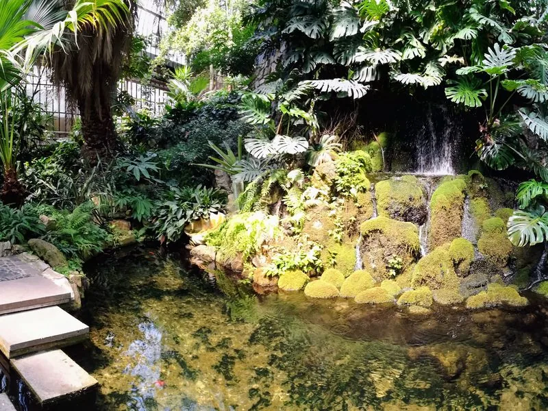 Tropenhaus im Palmengarten mit Wasserfall, Trittsteinen über einem Teich und üppiger tropischer Bepflanzung