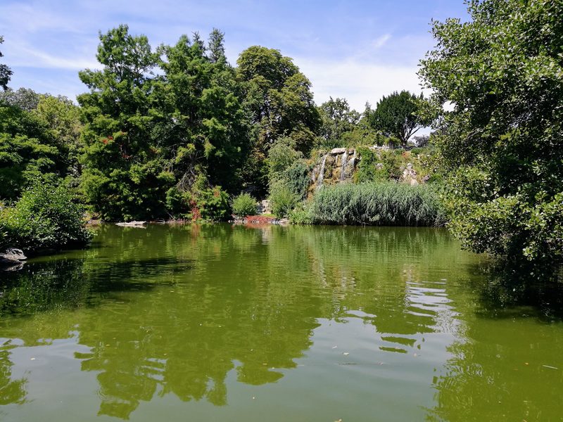 Landschaftlich gestalteter Weiher mit künstlichem Wasserfall über Felsen und Schilf