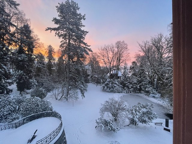 Verschneiter Park der Villa Haas im Abendlicht, hohe Nadelbäume vor rosa gefärbtem Himmel